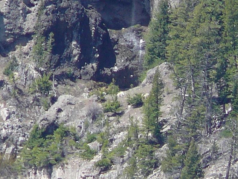 Mountain Goats on mountain.jpg - Can you see the 5 goats in this picture?  Check out the next picture to see if you are right.
